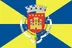 Bandeira do município de Bragança, capital do distrito