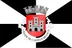 Bandeira do município de Castelo Branco, capital do distrito