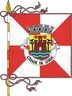 Bandeira do município de Leiria, capital do distrito