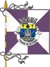 Bandeira do município de Setúbal, capital do distrito
