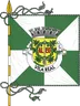 Bandeira do município de Vila Real, capital do distrito